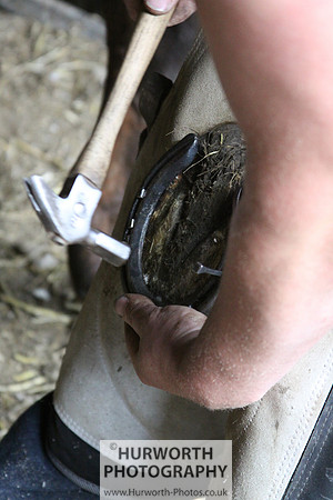 Farrier 041