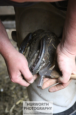 Farrier 044