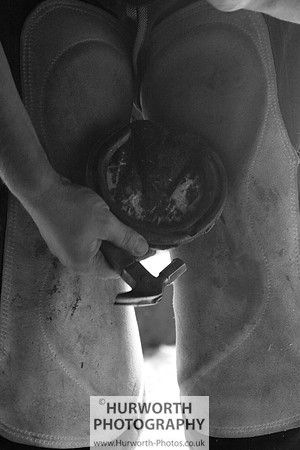Farrier 045