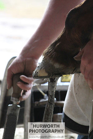 Farrier 050