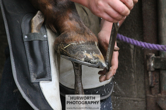 Farrier 057