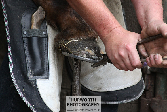 Farrier 058