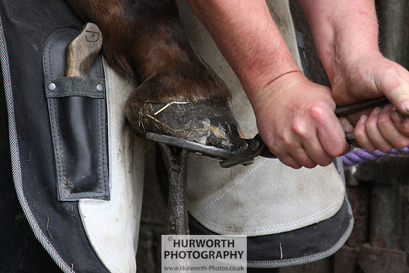 Farrier 059