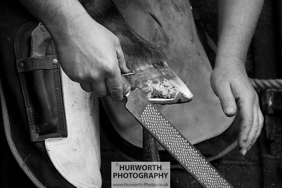Farrier 060