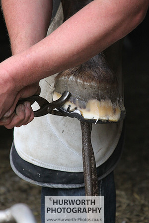 Farrier 063