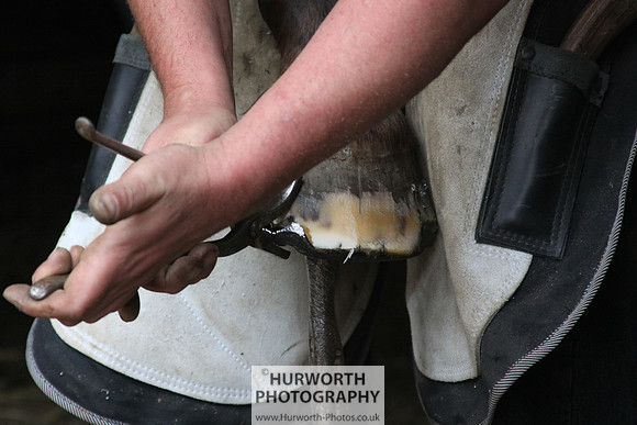 Farrier 064