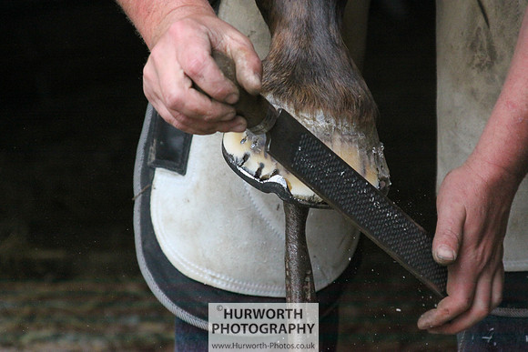 Farrier 066