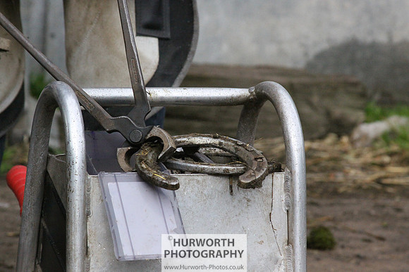 Farrier 077