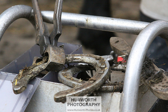 Farrier 078