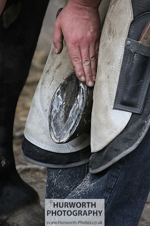 Farrier 080