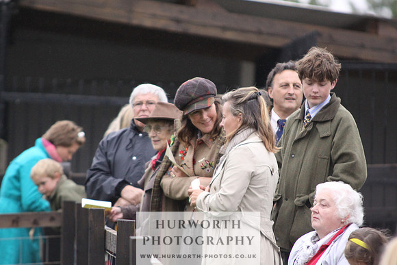Sinnington Puppy Show 110