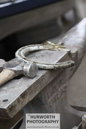 Farrier 081