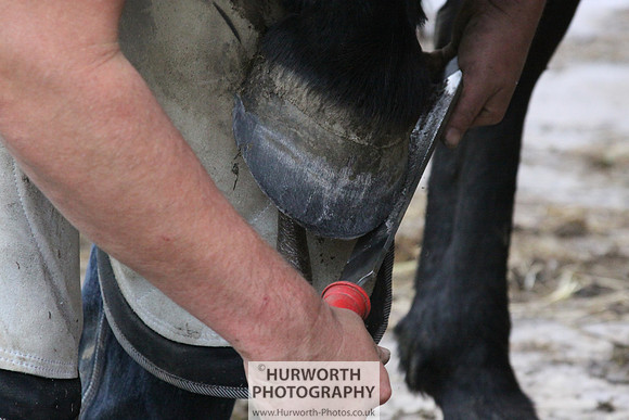 Farrier 085