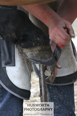 Farrier 086