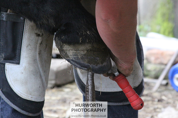 Farrier 087