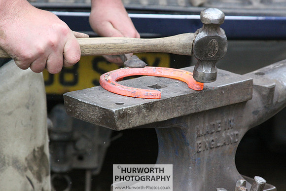 Farrier 089
