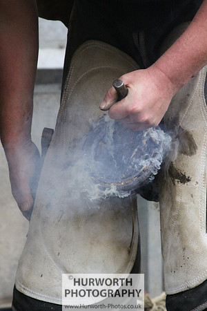 Farrier 091
