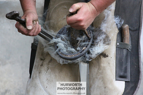 Farrier 096