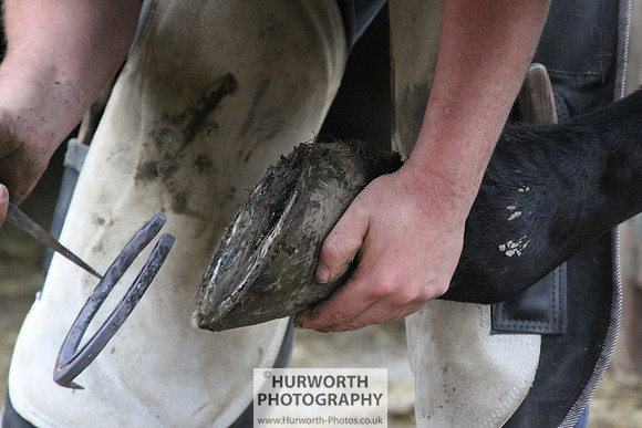 Farrier 101