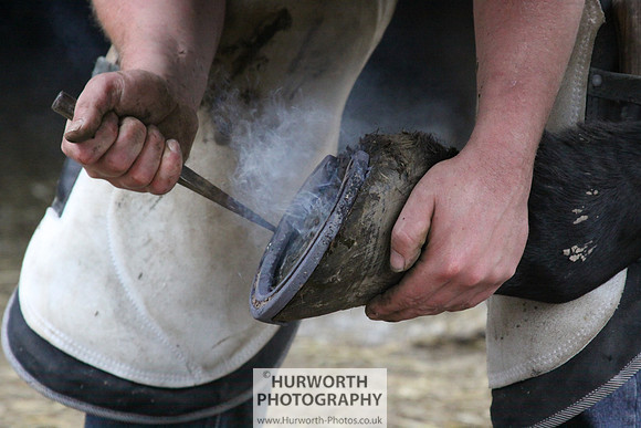 Farrier 102