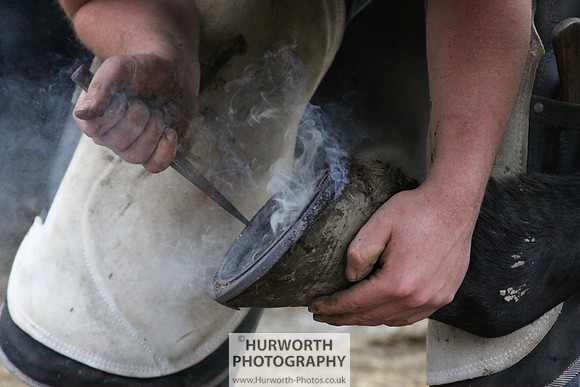 Farrier 103