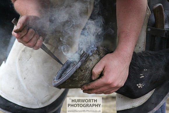 Farrier 104