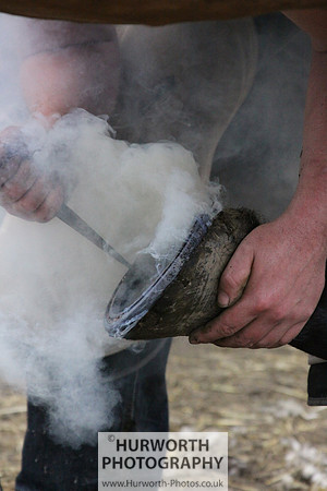 Farrier 107
