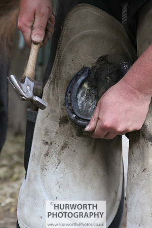 Farrier 110