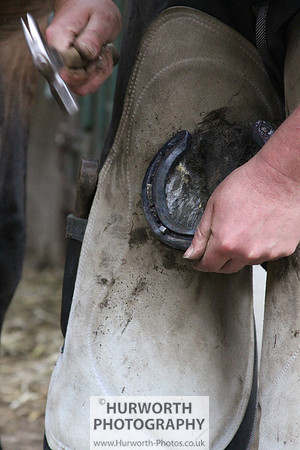 Farrier 111