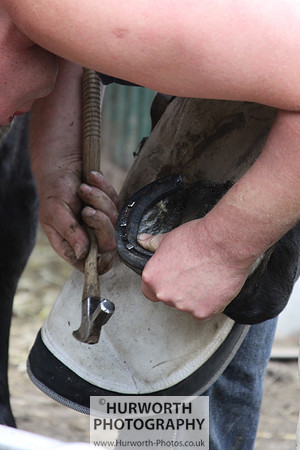 Farrier 113