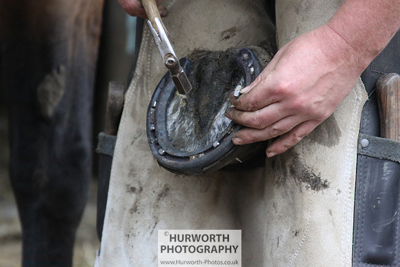 Farrier 114