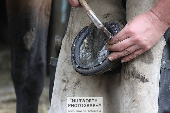 Farrier 115