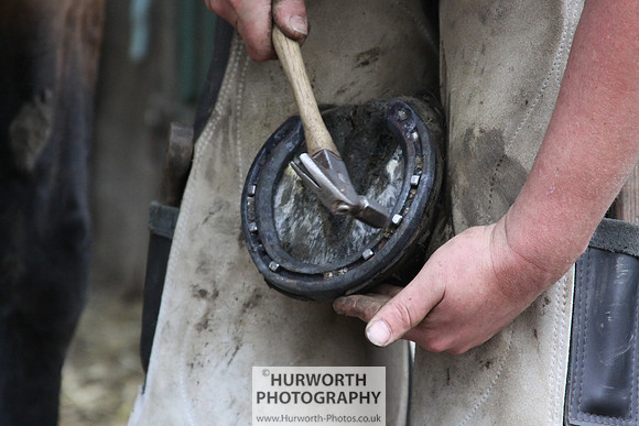Farrier 116