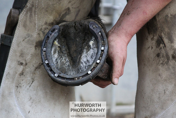 Farrier 117