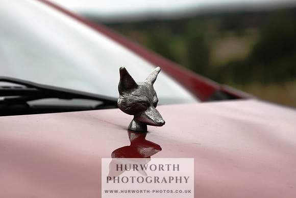 Sinnington Puppy Show 130