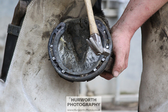 Farrier 118