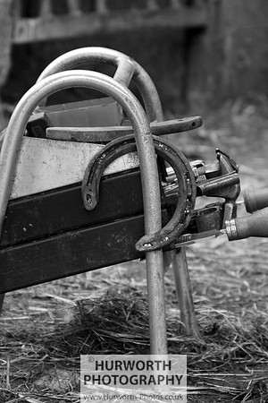 Farrier 119