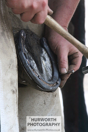Farrier 121