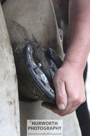 Farrier 123