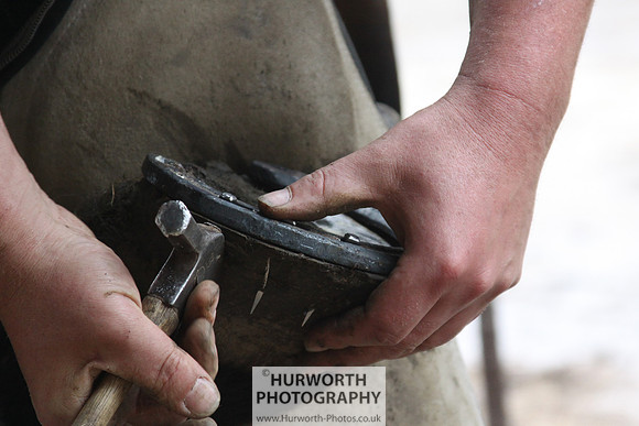 Farrier 125