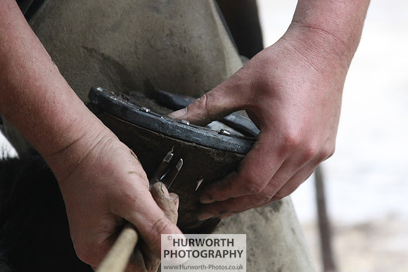 Farrier 126