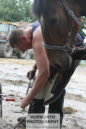 Farrier 131