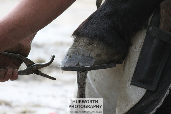 Farrier 133