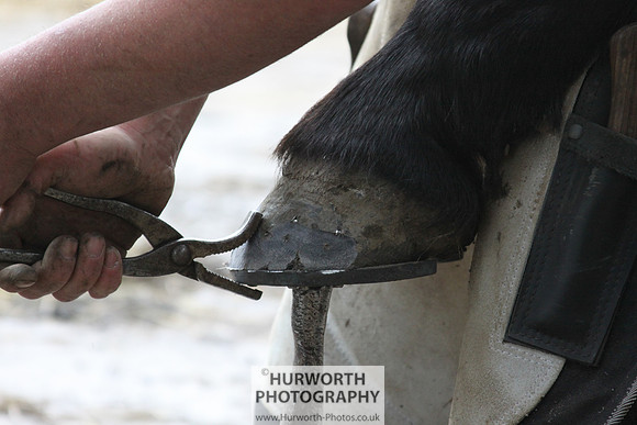 Farrier 134
