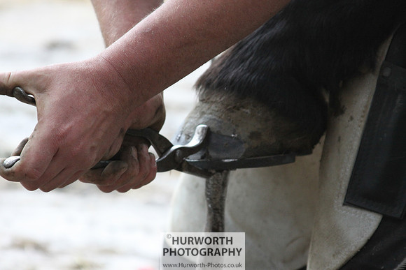 Farrier 135