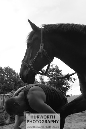 Farrier 136