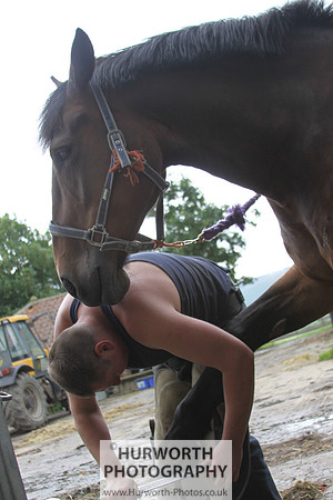 Farrier 137
