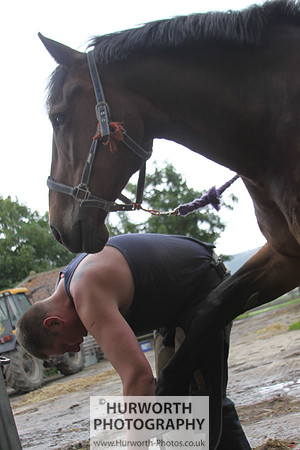 Farrier 138