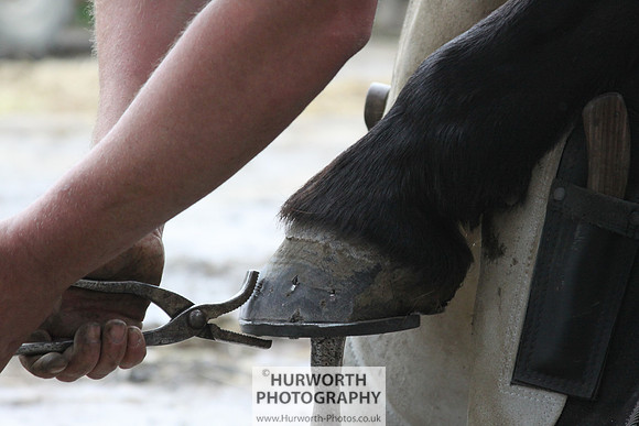 Farrier 139