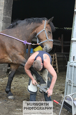 Farrier 142